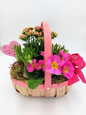 Pink Planted Gift Basket