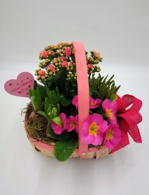 Pink Planted Gift Basket